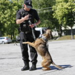 Dzień Otwarty Komendy Wojewódzkiej Policji / Marzena Mąkosa / Radio Kielce