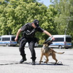 Dzień Otwarty Komendy Wojewódzkiej Policji / Marzena Mąkosa / Radio Kielce