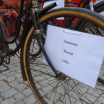 Ostrowerfest na Rynku / Emilia Sitarska / Radio Kielce