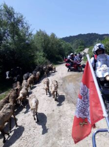 II Motocyklowy Rajd Monte Cassino / Joanna Kuryś, Krzysztof Kurek i Grzegorz Gajewski