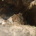 Prace archeologiczne związane z poszukiwaniem ofiar komunistycznego terroru na cmentarzu Piaski w Kielcach / Leszek Bukowski / Kielecka delegatura IPN