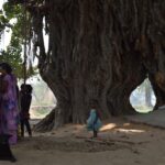 Indie / Bartosz Karcz/Marta Karcz