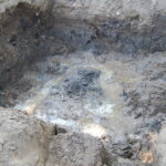 Prace archeologiczne związane z poszukiwaniem ofiar komunistycznego terroru na cmentarzu Piaski w Kielcach / Leszek Bukowski / Kielecka delegatura IPN