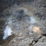 Prace archeologiczne związane z poszukiwaniem ofiar komunistycznego terroru na cmentarzu Piaski w Kielcach / Leszek Bukowski / Kielecka delegatura IPN