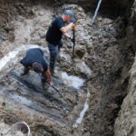 Prace archeologiczne związane z poszukiwaniem ofiar komunistycznego terroru na cmentarzu Piaski w Kielcach / Leszek Bukowski / Kielecka delegatura IPN