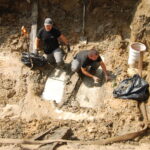 Prace archeologiczne związane z poszukiwaniem ofiar komunistycznego terroru na cmentarzu Piaski w Kielcach / Leszek Bukowski / Kielecka delegatura IPN