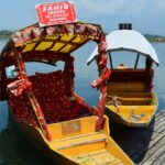 Indie / Bartosz Karcz/Marta Karcz