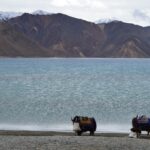 Indie / Bartosz Karcz/Marta Karcz