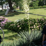 Zdjęcia z planu zdjęciowego do filmu "Kielecka Brygada Piechoty" / Michał Kita / Radio Kielce