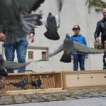 Kielce. OMPiO. Wypuszczenie 100 gołębi na 100-lecie niepodległości / Wiktor Dziarmaga / Radio Kielce