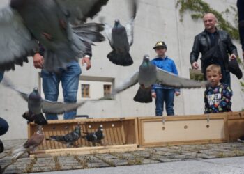 Kielce. OMPiO. Wypuszczenie 100 gołębi na 100-lecie niepodległości / Wiktor Dziarmaga / Radio Kielce