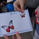 Kielce. Święto miasta / Wiktor Dziarmaga / Radio Kielce