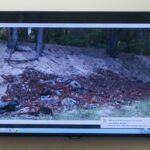 Mieszkańcy Wołowa nie chcą w swojej miejscowości kopalni piasku / Michał Kita / Radio Kielce