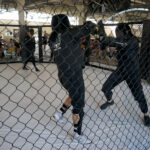 Gala Historical Fight Challenge / Kamil Król / Radio Kielce