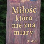 Ostrowiec. Jubileusz Rodzin Diecezji Sandomierskiej / Anna Głąb / Radio Kielce