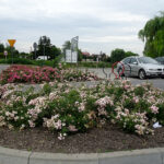 Tereny rekreacyjne w Busku-Zdroju nad Stawem Niemieckim / Kamil Włosowicz / Radio Kielce