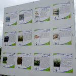 Tereny rekreacyjne w Busku-Zdroju nad Stawem Niemieckim / Kamil Włosowicz / Radio Kielce