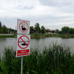 Tereny rekreacyjne w Busku-Zdroju nad Stawem Niemieckim / Kamil Włosowicz / Radio Kielce