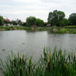 Tereny rekreacyjne w Busku-Zdroju nad Stawem Niemieckim / Kamil Włosowicz / Radio Kielce