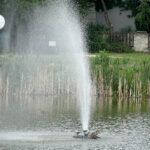 Tereny rekreacyjne w Busku-Zdroju nad Stawem Niemieckim / Kamil Włosowicz / Radio Kielce