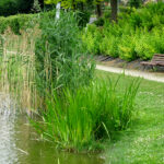 Tereny rekreacyjne w Busku-Zdroju nad Stawem Niemieckim / Kamil Włosowicz / Radio Kielce