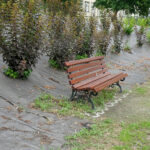 Tereny rekreacyjne w Busku-Zdroju nad Stawem Niemieckim / Kamil Włosowicz / Radio Kielce