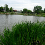 Tereny rekreacyjne w Busku-Zdroju nad Stawem Niemieckim / Kamil Włosowicz / Radio Kielce