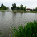 Tereny rekreacyjne w Busku-Zdroju nad Stawem Niemieckim / Kamil Włosowicz / Radio Kielce