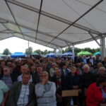 13. Festiwal Ludowy w Sędziszowie / Ewa Pociejowska-Gawęda / Radio Kielce