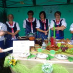 13. Festiwal Ludowy w Sędziszowie / Ewa Pociejowska-Gawęda / Radio Kielce