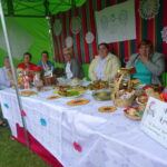 13. Festiwal Ludowy w Sędziszowie / Ewa Pociejowska-Gawęda / Radio Kielce