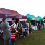 13. Festiwal Ludowy w Sędziszowie / Ewa Pociejowska-Gawęda / Radio Kielce