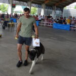 Międzynarodowa Wystawa Psów Rasowych / Tomasz Piwko / Radio Kielce