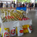 Międzynarodowa Wystawa Psów Rasowych / Tomasz Piwko / Radio Kielce