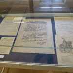 Międzynarodowy Dzień Archiwów. Archiwum Państwowe w Kielcach / Mateusz Kaczmarczyk / Radio Kielce