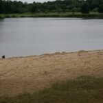 Umer. Zalew / Mateusz Kaczmarczyk / Radio Kielce