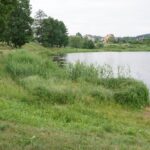 Umer. Zalew / Mateusz Kaczmarczyk / Radio Kielce