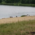 Umer. Zalew / Mateusz Kaczmarczyk / Radio Kielce