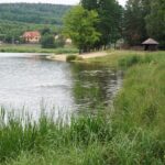 Umer. Zalew / Mateusz Kaczmarczyk / Radio Kielce