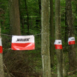 Uroczystości na Wykusie / Anna Głąb / Radio Kielce