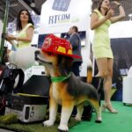 Kielce. Międzynarodowe Targi Sprzętu i Wyposażenia Straży Pożarnej i Służb Ratowniczych IFRE / Jarosław Kubalski / Radio Kielce