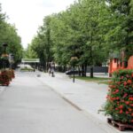 Nasadzenia letnie w Busku-Zdroju / UMiG Busko-Zdrój