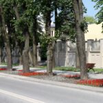 Nasadzenia letnie w Busku-Zdroju / UMiG Busko-Zdrój