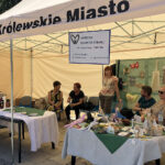 IV Festiwal Organizacji Pozarządowych / Grażyna Szlęzak-Wójcik / Radio Kielce