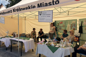IV Festiwal Organizacji Pozarządowych / Grażyna Szlęzak-Wójcik / Radio Kielce