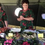 Pierogarnia - festyn rekreacyjno-kulturalny / Grażyna Szlęzak-Wójcik / Radio Kielce