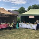 Piknik cysterski / Grażyna Szlęzak-Wójcik / Radio Kielce