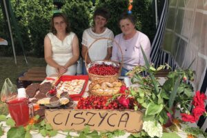 Piknik cysterski / Grażyna Szlęzak-Wójcik / Radio Kielce