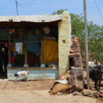 Indie / Bartosz Karcz/Marta Karcz