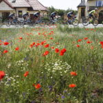 02.06.2018 13.Międzynarodowy Wyścig Kolarski Szlakiem Walk Majora Hubala. Etap Skarżysko - Kamienna  do Kazimierzy Wielkiej / Jarosław Kubalski / Radio Kielce